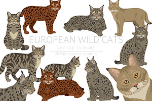 European wild cats clipart, an Animal Illustration by pet design shop