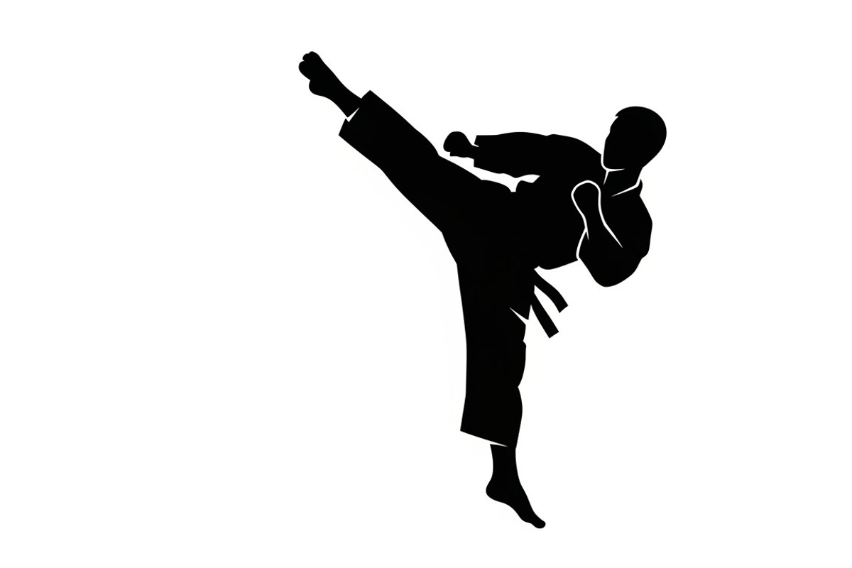 Dynamic martial arts kick silhouette, a Graphic by Amazin_art (Photo 22 of 36)