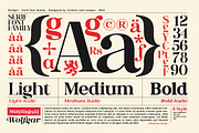 Wolfgar - Serif Font Family, a Serif Font by Artistic & Unique (Thumbnail 6 of 15)