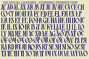 ECONOMIC PROMOTE FONT, a Serif Font by 177Studio (Thumbnail 7 of 8)