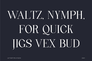 Quinty A Luxury Serif Font Family