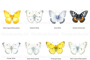 White Butterflies Clipart, Butterfly