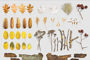 Autumn Floral Mockup, an Object Graphic by uncle-rico (Thumbnail 1 of 12)