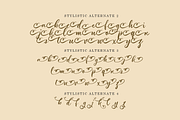 Almeythen | A Modern Script Font, a Script Font by Colllab Studio (Thumbnail 11 of 12)