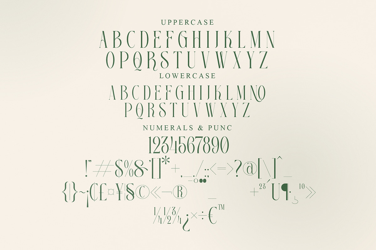 Georgiano Modern Serif Font, a Serif Font by Storytype Studio (Photo 13 of 15)