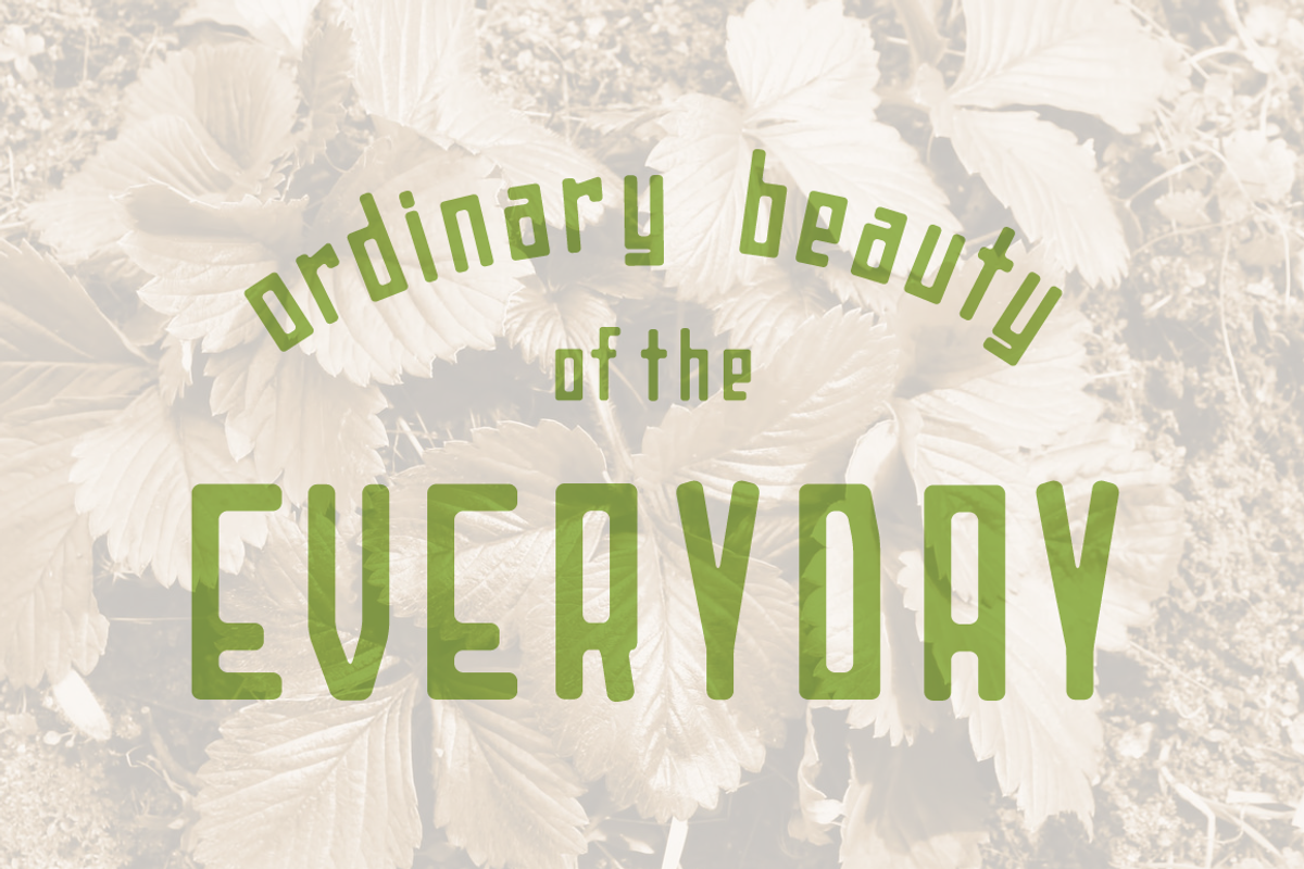 White Bonfire Display Font preview 2