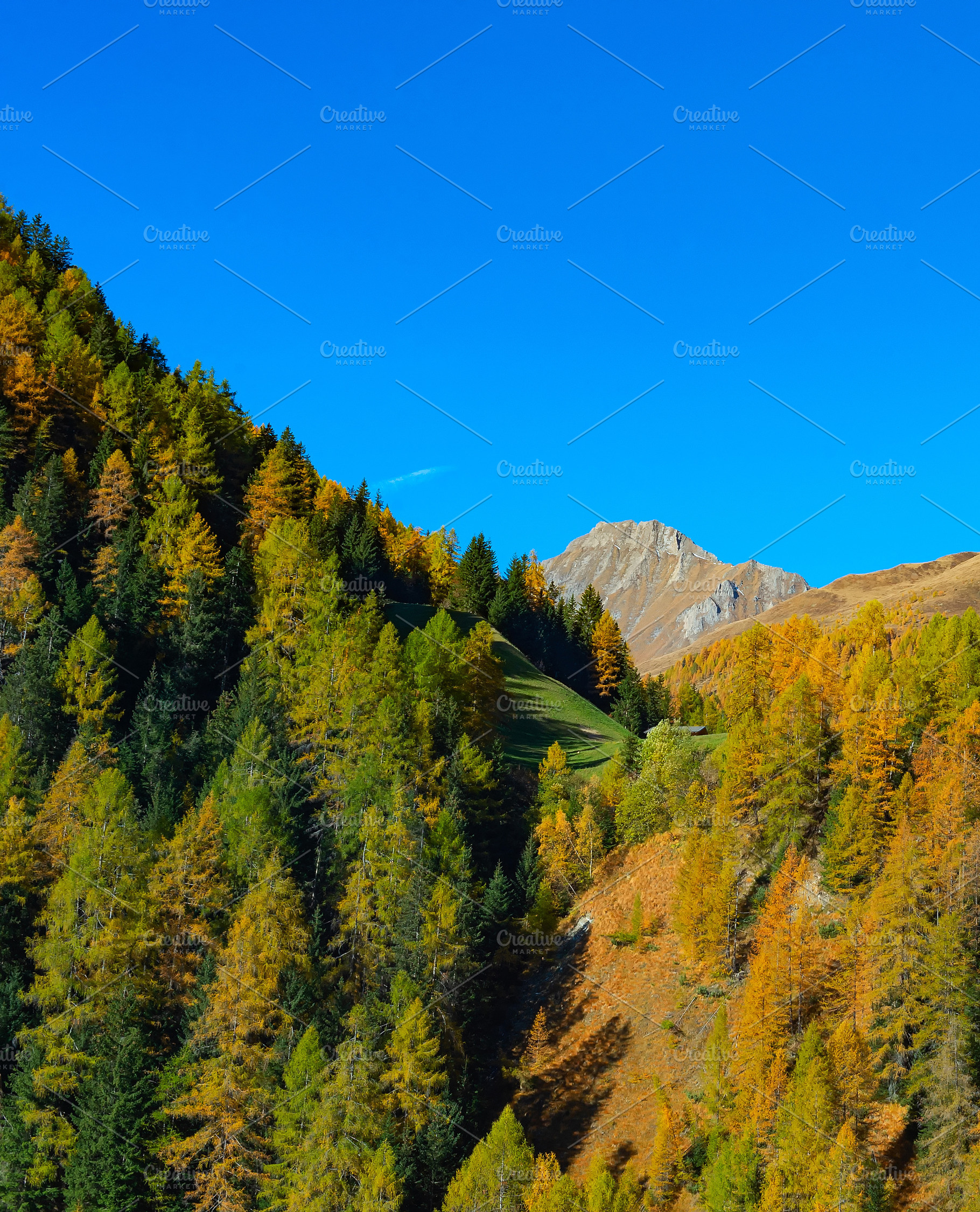Forest mountain landscape Alps Austria, a Nature Photo by joyt