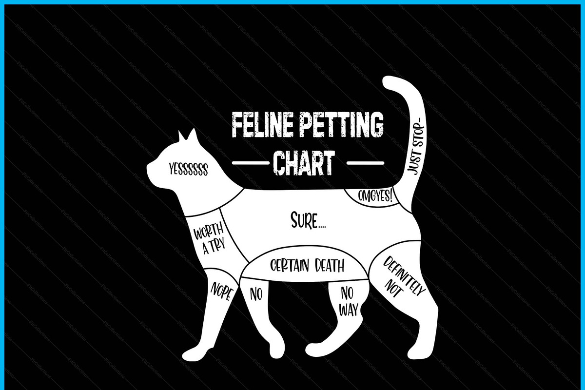 Feline Petting Chart Cat SVG PNG, a Graphic by Creativeusart (Photo 3 of 4)
