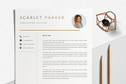 Resume Template Creative, a Resume Template by LucaTheme (Thumbnail 3 of 10)