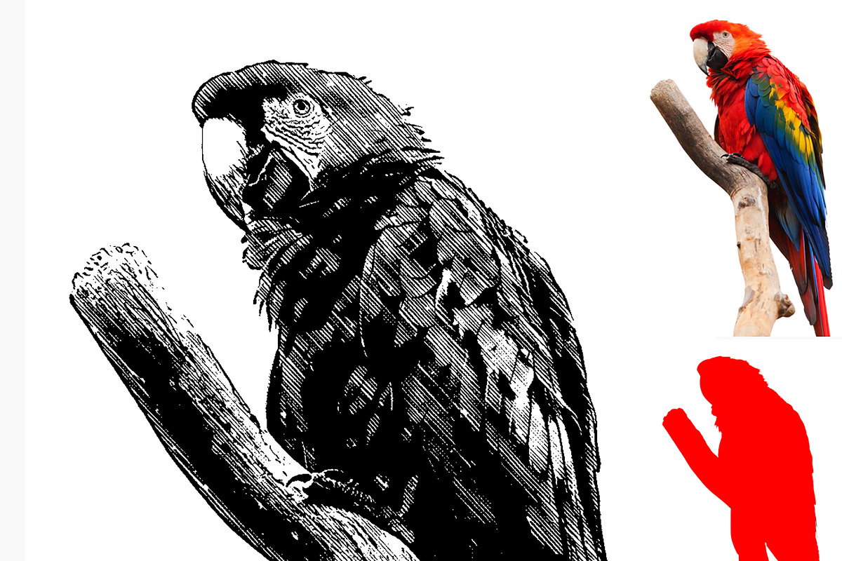 Vector Trace Photoshop Action, an Action Add-On by Photoshop Action (Photo 8 of 13)