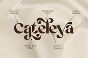Retrofly A Retro Serif, a Serif Font by Annivers Type (Thumbnail 4 of 10)
