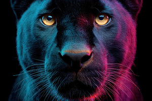 Close-up portrait of a black panther with vibrant background, an Animal Photo by AlyaAnd