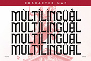 Milknolri A New Display Font, a Serif Font by Storytype Studio (Thumbnail 12 of 15)