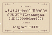 Moveiny - A Modern Serif Typeface, a Serif Font by overlaytemplates (Thumbnail 5 of 5)