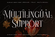 Hanchern Display Serif Font, a Serif Font by Storytype Studio (Thumbnail 12 of 15)