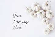 Fall Color Bundle Stock Photos, a Background Photo by SunnyTangerine Stock (Thumbnail 5 of 10)