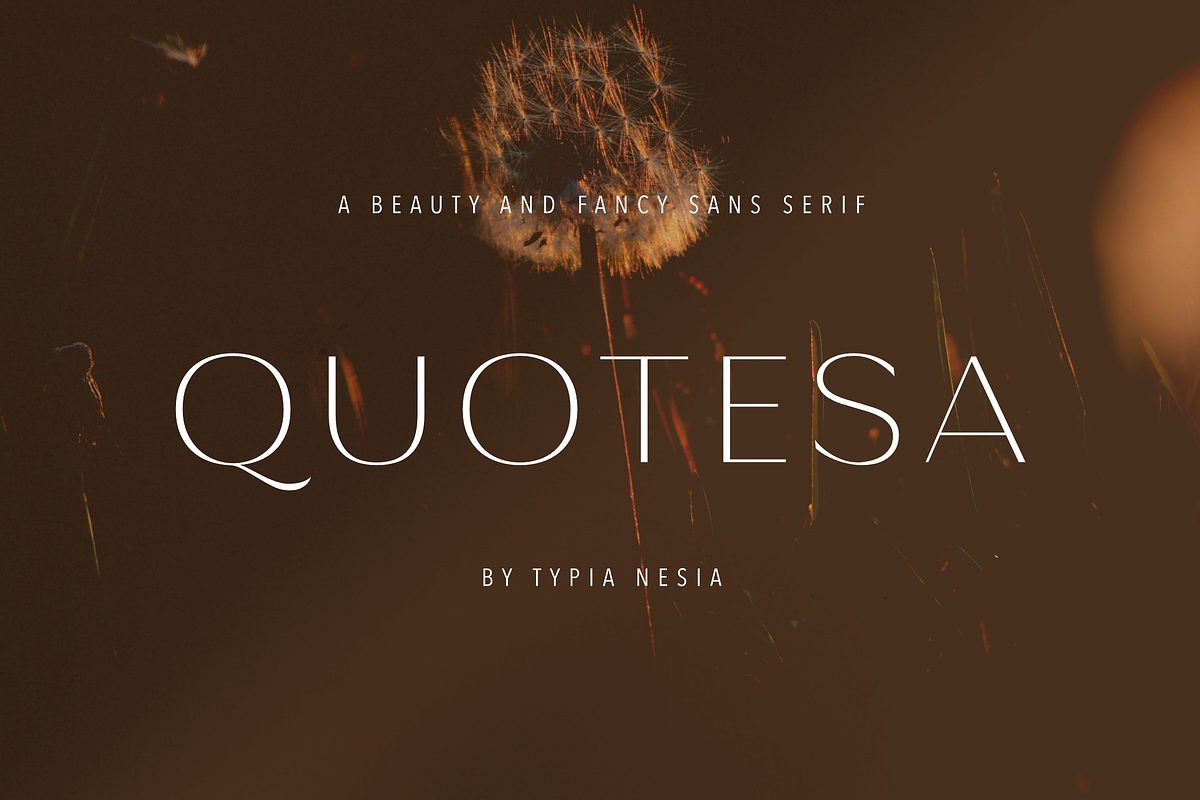 Quotesa Sans, a Sans Serif Font by Typia Nesia (Photo 1 of 12)