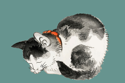 Sleeping cat by Kōno Bairei, a Wallpaper Graphic by rawpixel