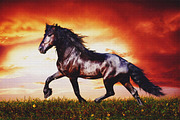 Vintage Painting Action, an Action Add-On by Krystal Designs Co. (Thumbnail 5 of 5)