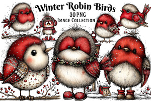 Whimsical Winter Robin Birds Clipart, an Illustration by Dream Creation