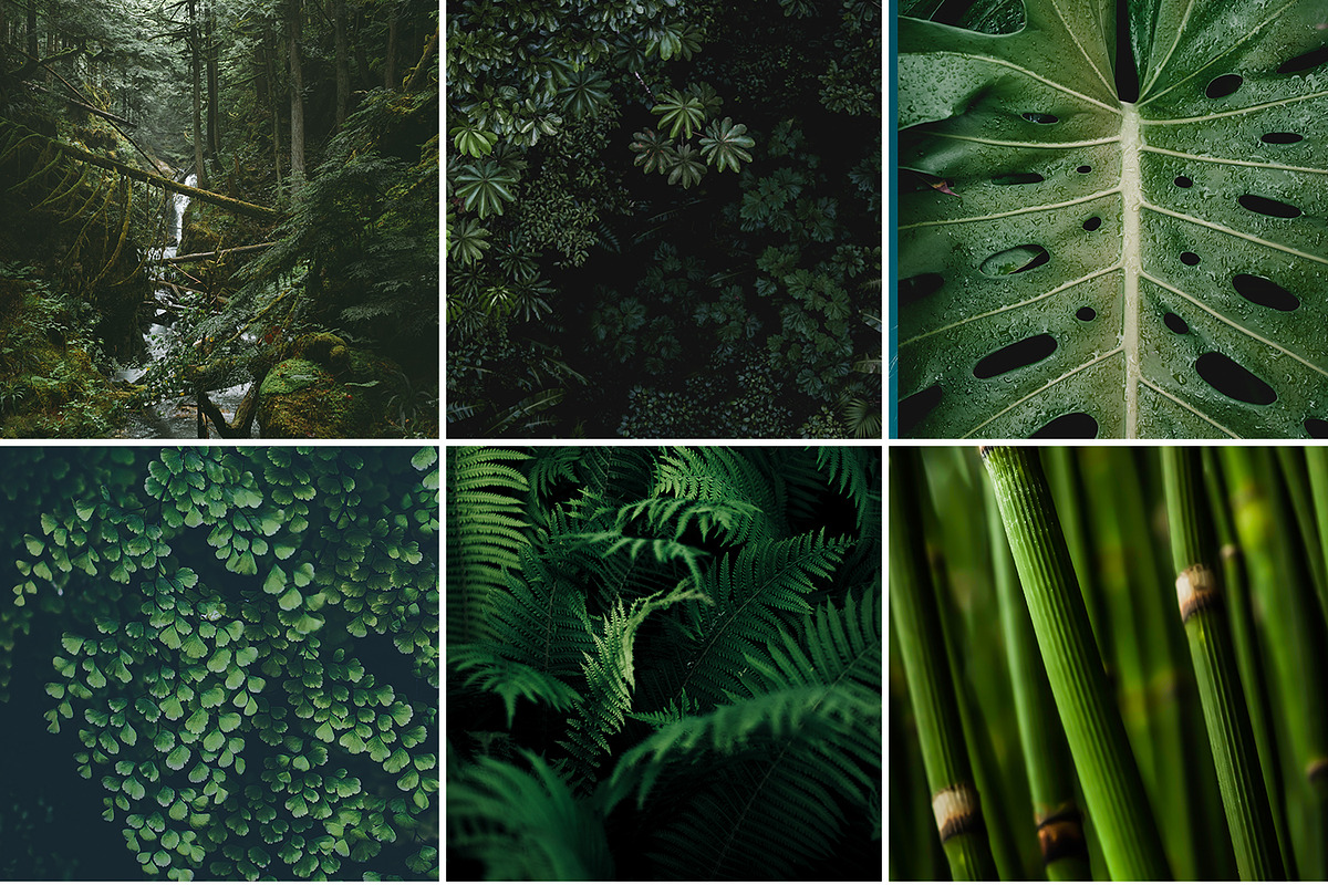 Deep Green Preset, a Plug-in Add-On by Unlimited Presets (Photo 2 of 3)