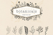 Handdrawn Botanicals, an Illustration by Ramona Schratt (Thumbnail 8 of 8)
