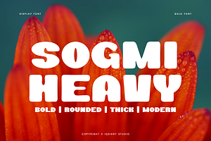 Sogmi Heavy - Bold Round Font, a Serif Font by Iqsiart Studio