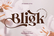 Bligk - Vintage Modern, a Serif Font by Khoir (Thumbnail 1 of 15)