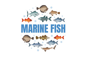 Marine Fish Banner Template with, an Animal Illustration by TopVectors