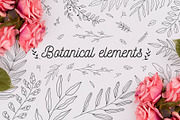 110 Hand-drawn botanical elements, a Decorative Illustration by Wander Designs (Thumbnail 1 of 8)