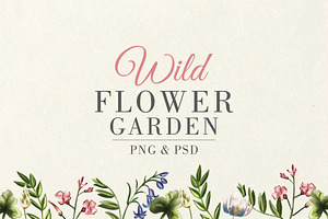 Wild Flower Garden