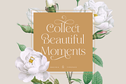 Maginia Font, a Serif Font by Digitype Studio (Thumbnail 6 of 10)