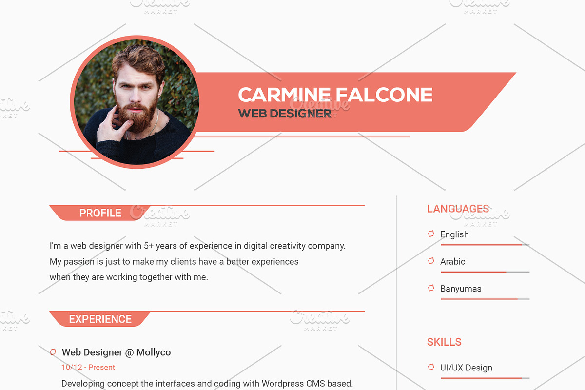 Curriculum Vited - Resume Template, a Resume Template by Ted-sign (Photo 5 of 8)