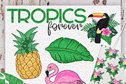 Tropics Forever! Vector set, an Animal Illustration by CallMeStasia (Thumbnail 7 of 7)