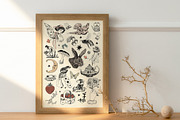 Cottagecore Bundle, an Object Graphic by Annie Konst (Thumbnail 17 of 18)