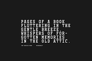 MBF Morvius Mono - modern serif font, a Serif Font by MoonBandit (Thumbnail 3 of 7)