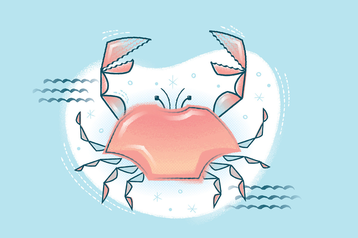 Mid-Century Illustrator Brushes preview 4