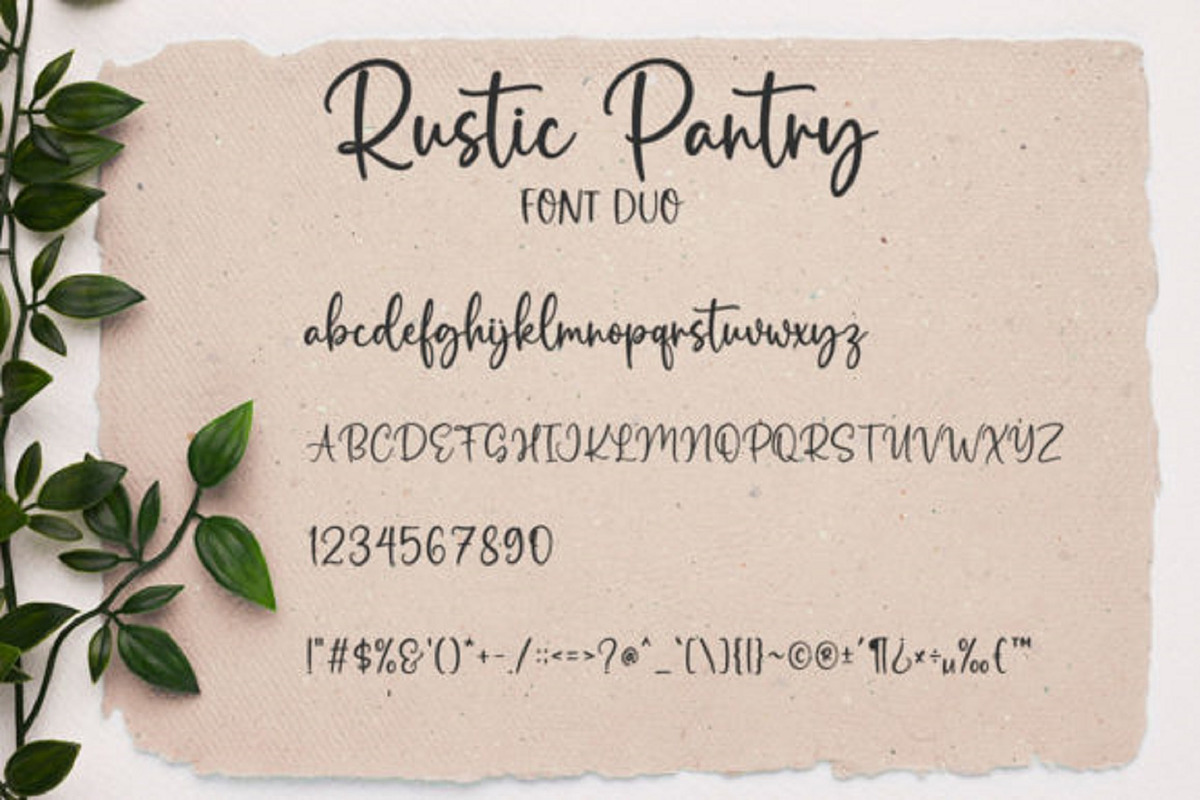 Rustic Pantry Font, a Script Font by QualityGraphics (Photo 8 of 10)