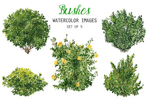 Watercolor Bushes Clipart