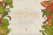Vegetable collection 1, an Object Graphic by Siosay (Thumbnail 1 of 11)