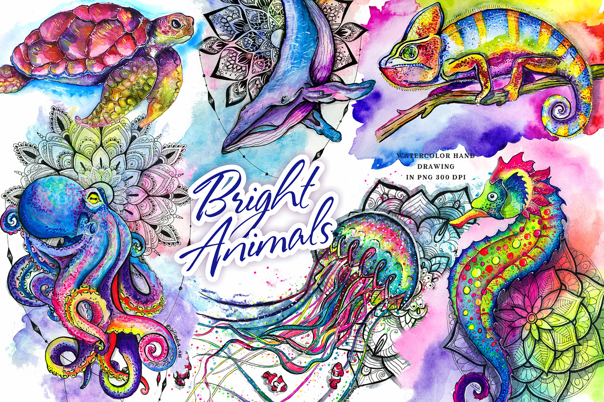 Set of bright watercolor animals, an Animal Illustration by Siriliadka Dreams (Photo 1 of 11)