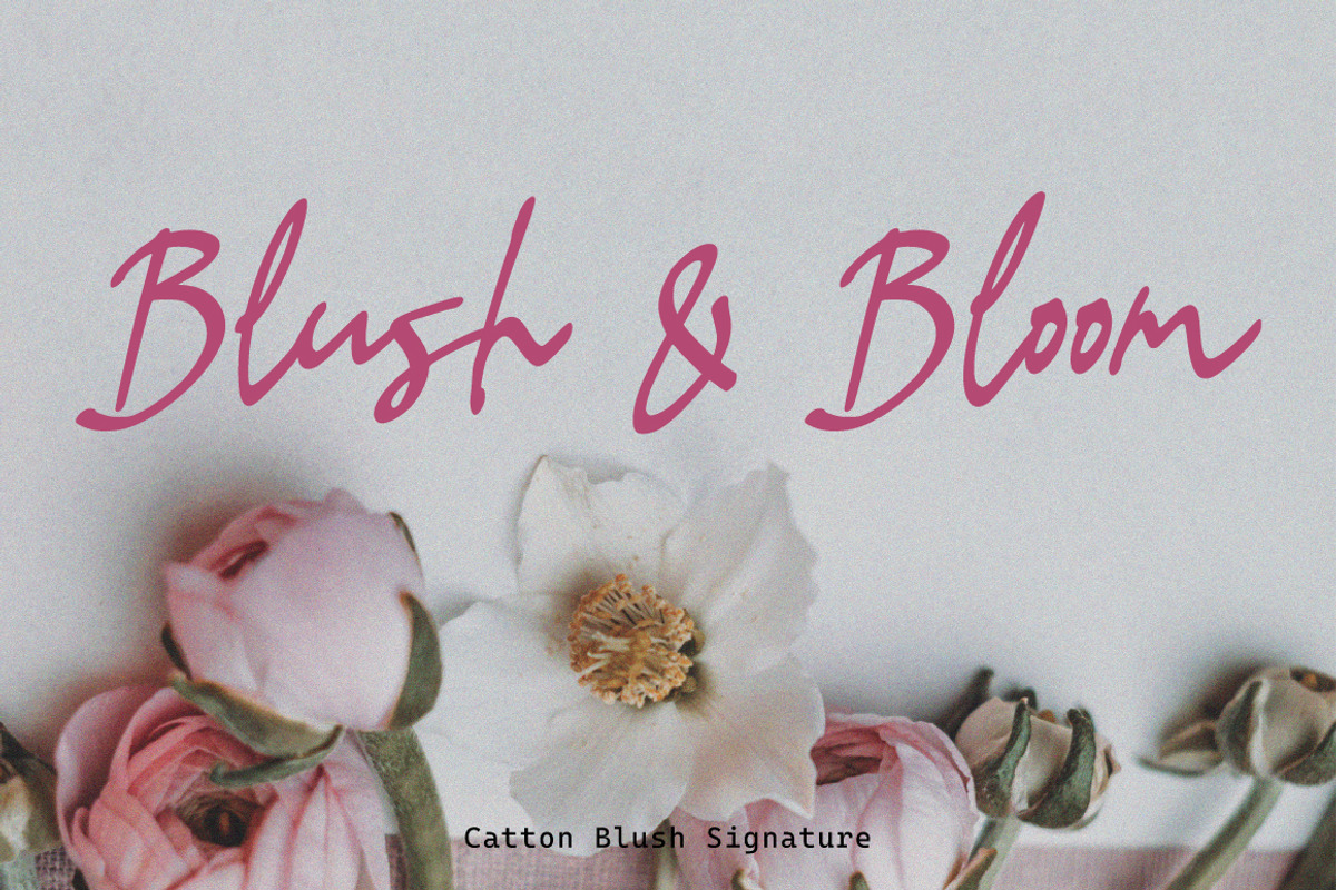 Cotton Blush - Charming Signature, a Handwritten Font by tebaltipislab (Photo 6 of 11)