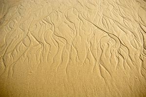 Sand Patterns Background, a Nature Photo by THP Creative