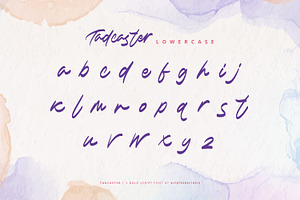 Tadcaster - Bold Script Font