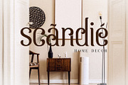 Elizabeth, a Serif Font by Umitype (Thumbnail 4 of 11)