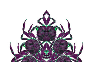 Crab Collage Ornate Graphic