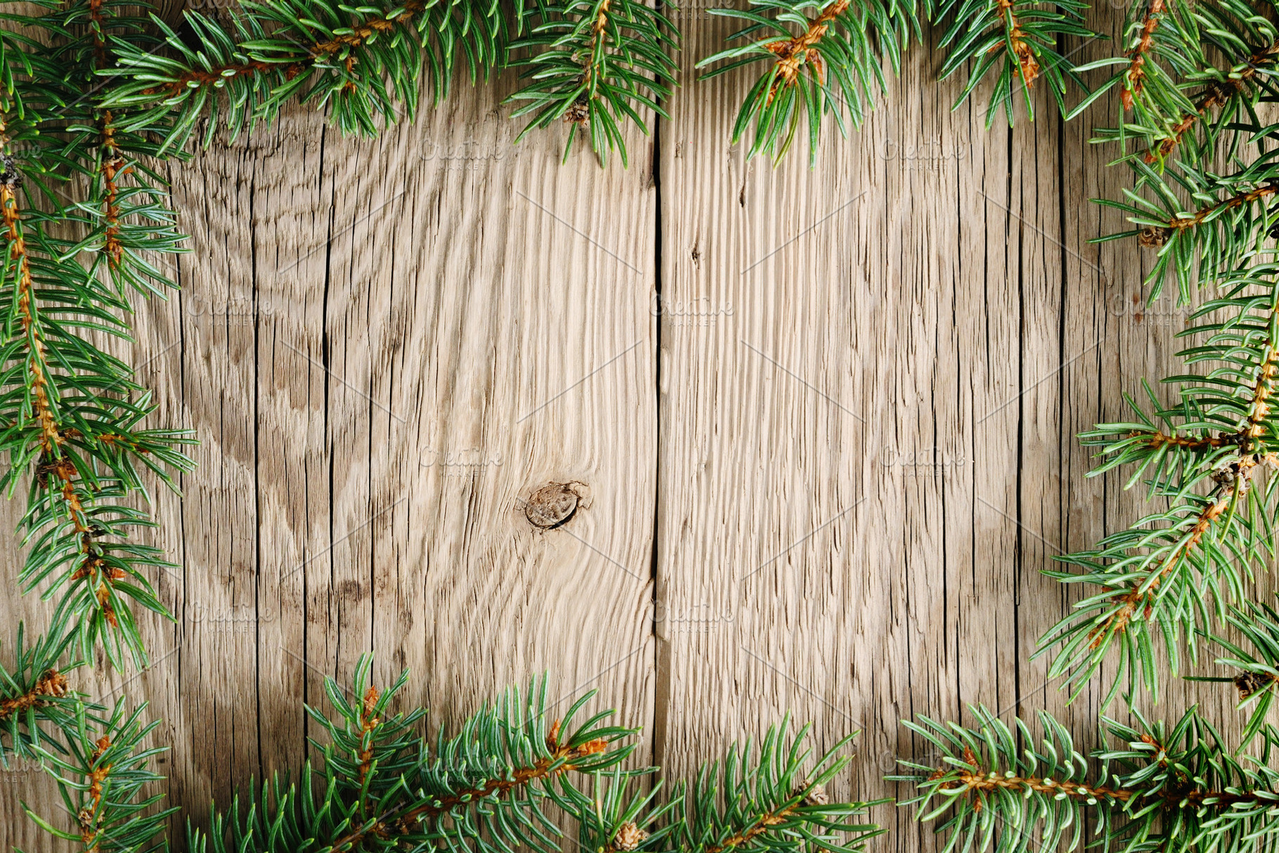 Branches Of Christmas Tree