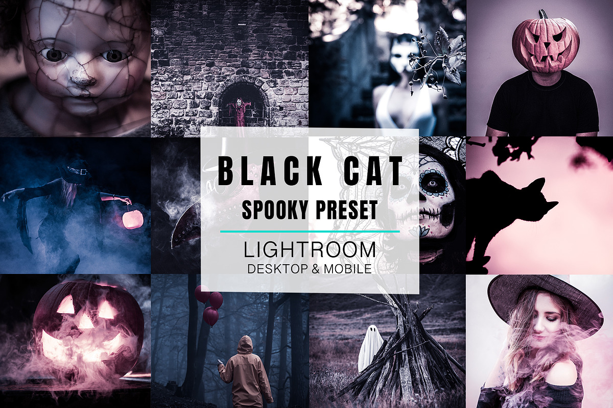 Lightroom Preset - Black Cat, an Action Add-On by Design Aesthetic (Photo 1 of 12)