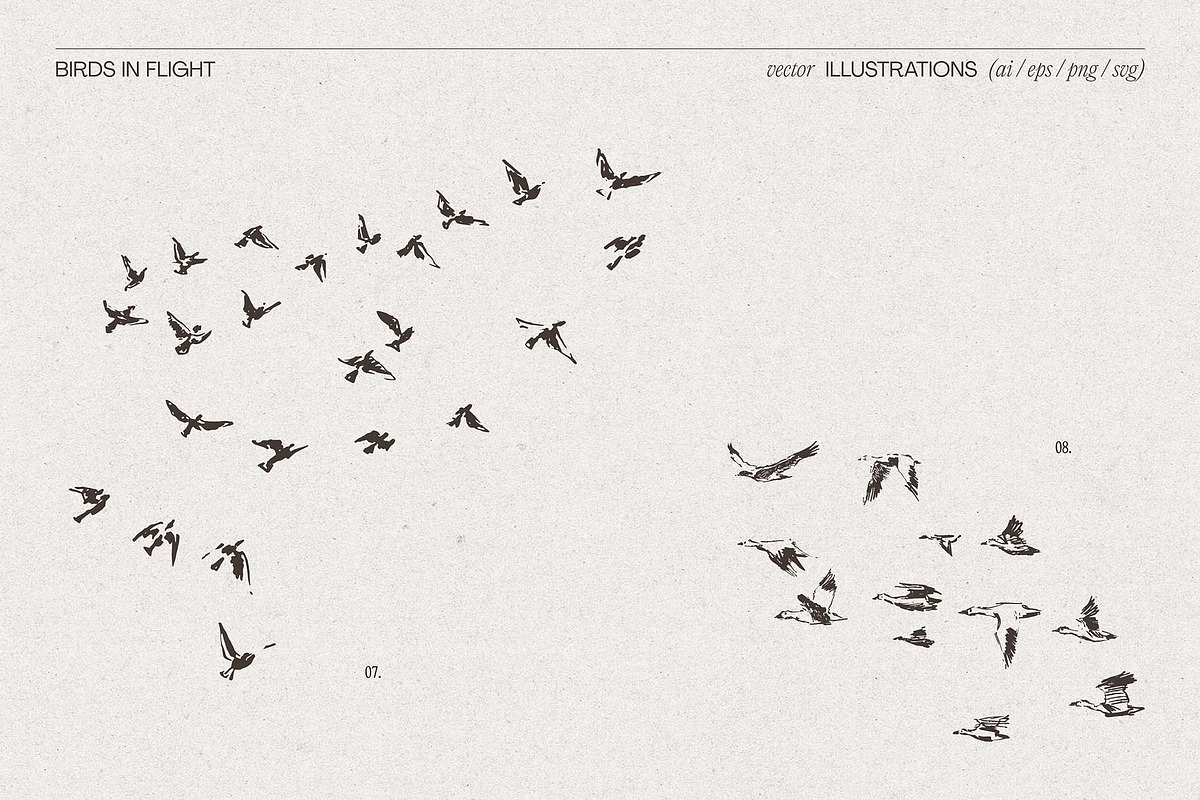 Sketch-Style Bird Flock Vector Set, an Animal Illustration by TheMountBirdStudio (Photo 7 of 11)