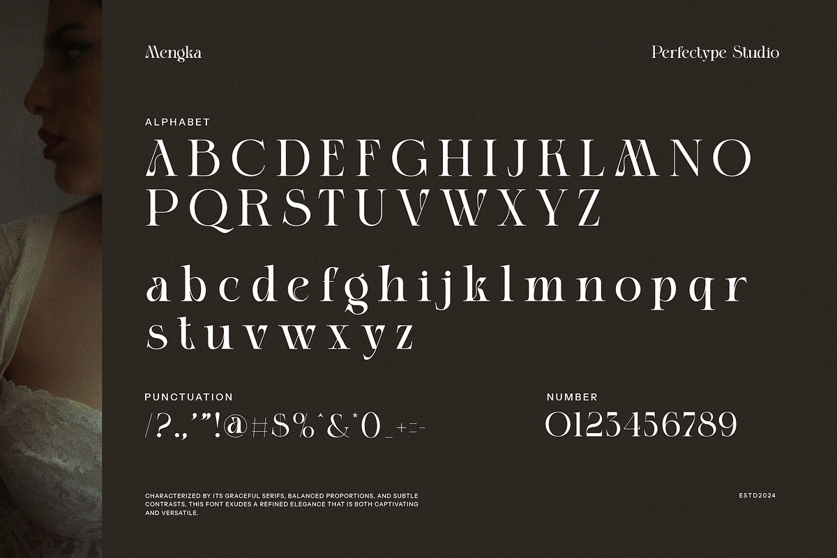 Mengka Elegant Serif Font, a Serif Font by Perfectype (Photo 7 of 8)